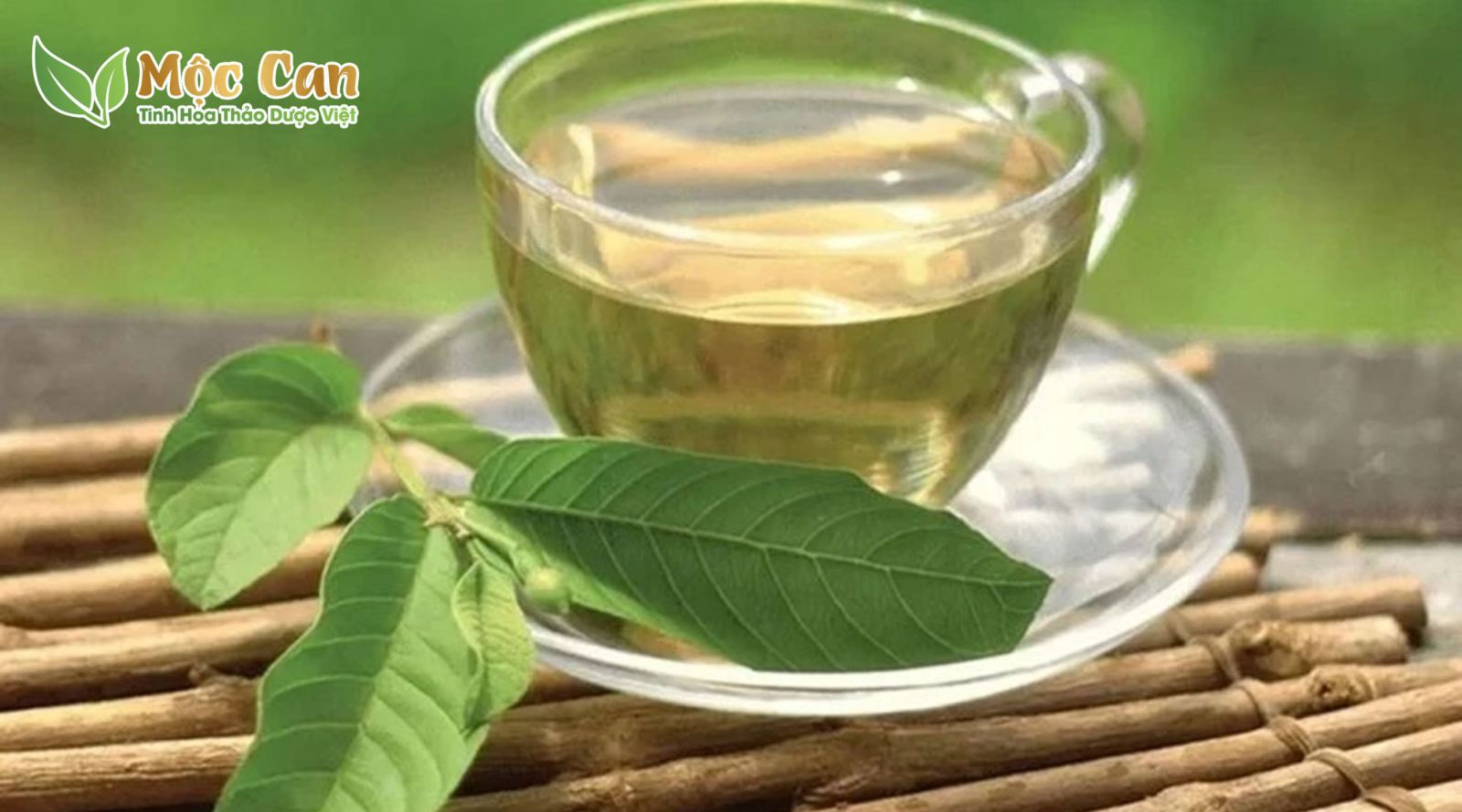 SỰ THẬT VỀ THẦN DƯỢC LÁ ỔI TRỊ TIỂU ĐƯỜNG 1 SỰ THẬT VỀ THẦN DƯỢC LÁ ỔI TRỊ TIỂU ĐƯỜNG 1